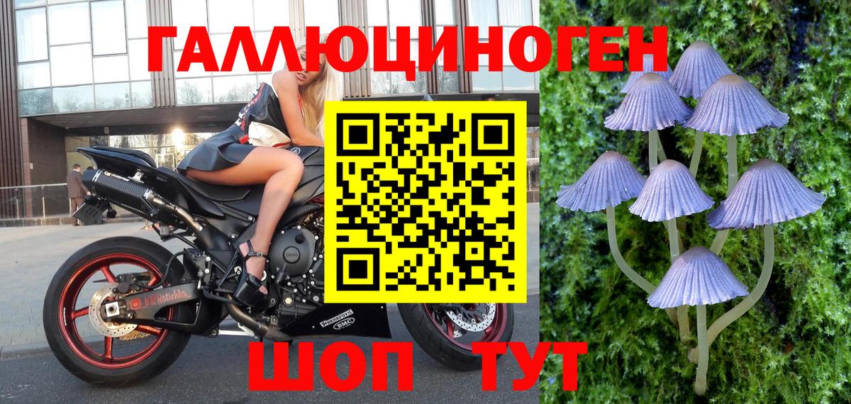 Галлюциногенные грибы мухоморы  Вход с VPN  наркота  Волгодонск 