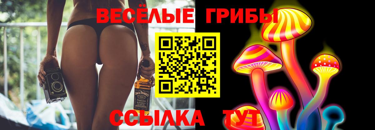Галлюциногенные грибы мицелий Волгодонск